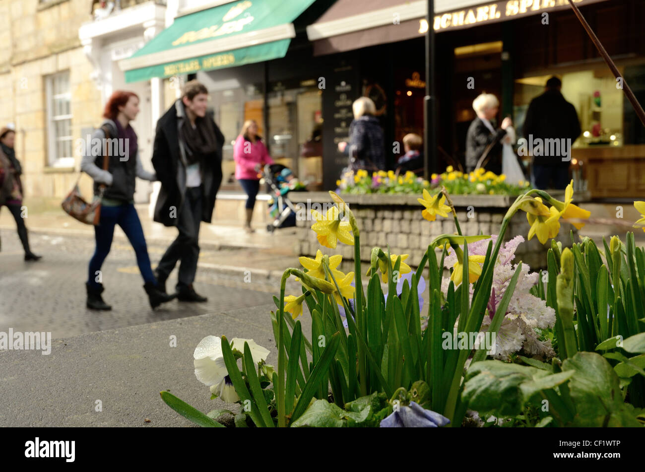A view of Lower Lemon Street, Truro with late winter flowers in the foreground Stock Photo