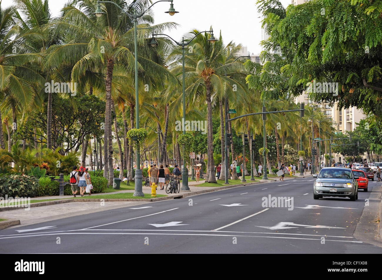 Kalakaua Avenue, Waikiki, Honolulu, Oahu Island, Hawaii Islands, USA Stock Photo
