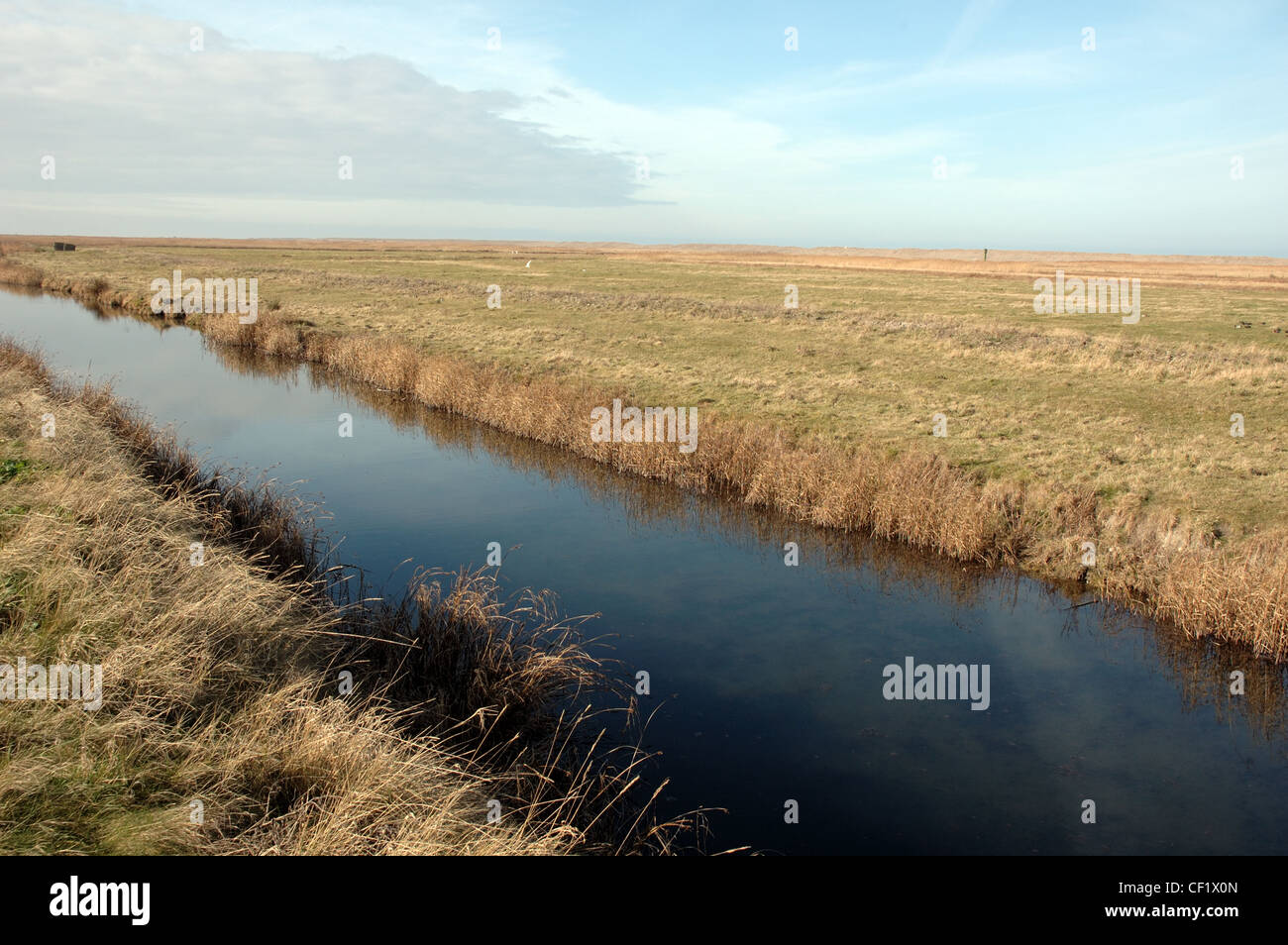 Drainage ditch on the salt marshes at Salthouse, Norfolk, UK Stock Photo