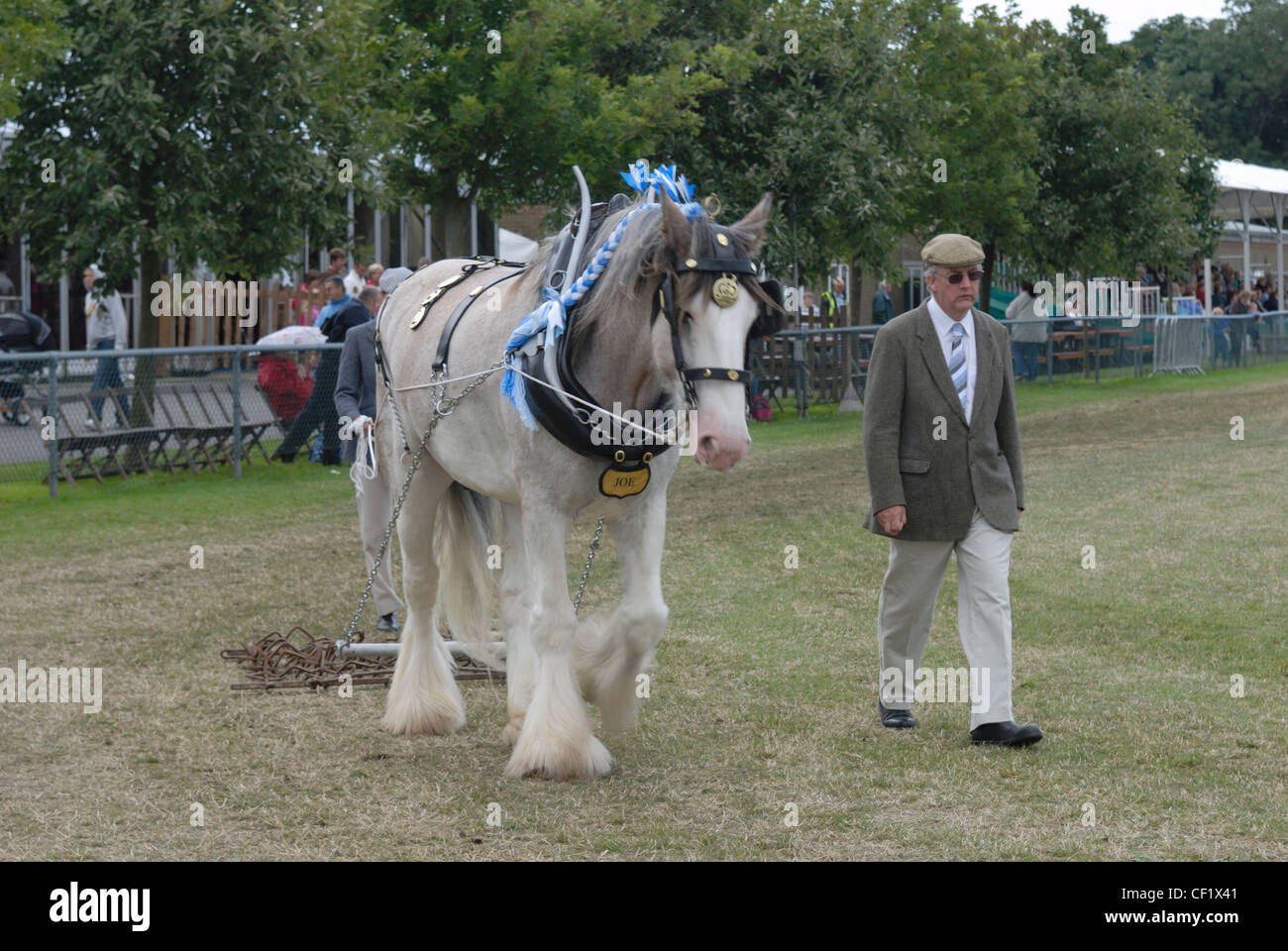 A cart horse being paraded in a competition at the Kent County Show. Stock Photo