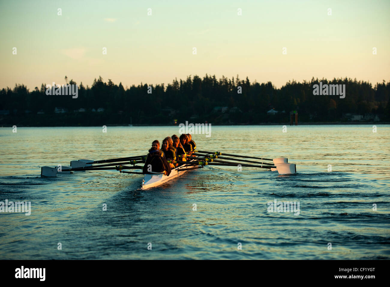 Rowing team practicing at sunset hires stock photography and images Alamy