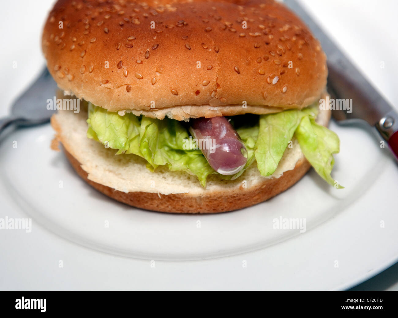 Lab grown hamburger hi-res stock photography and images - Alamy