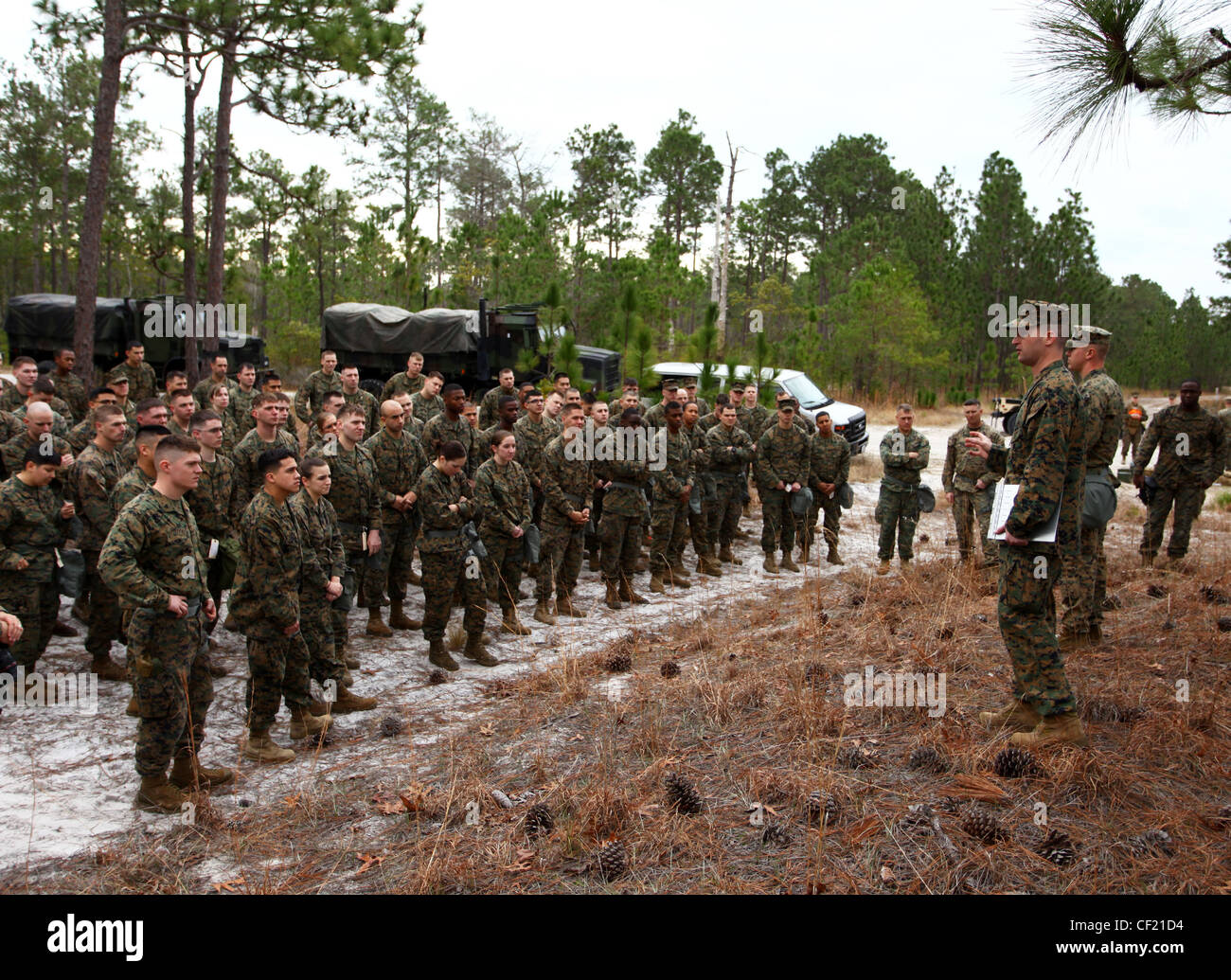 M50 Joint Service General Purpose Gas Mask High Resolution Stock 