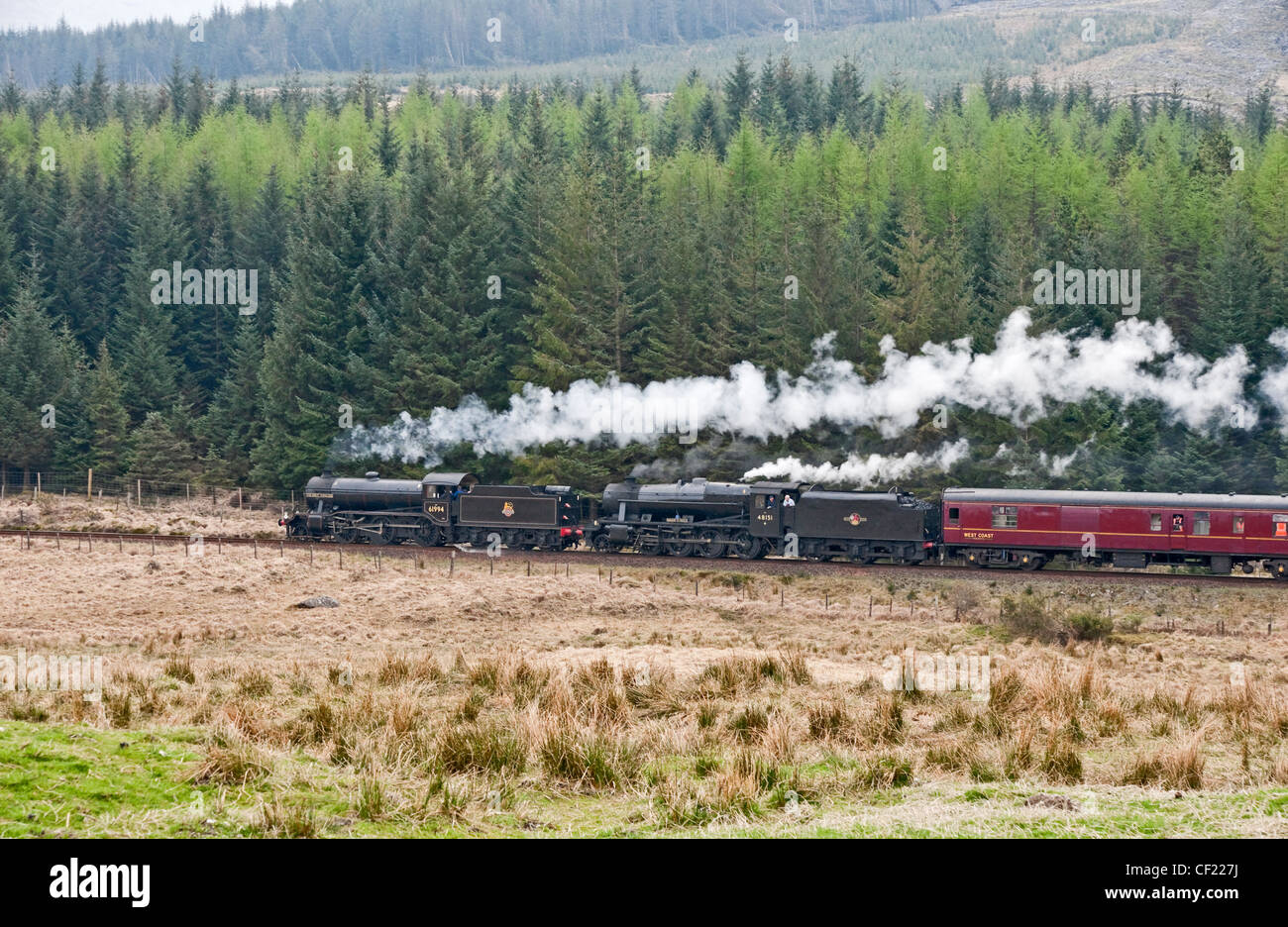 o gauge guild