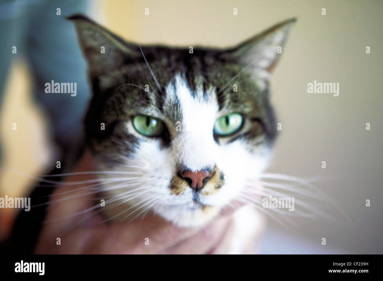 Look listen and feel hi-res stock photography and images - Alamy