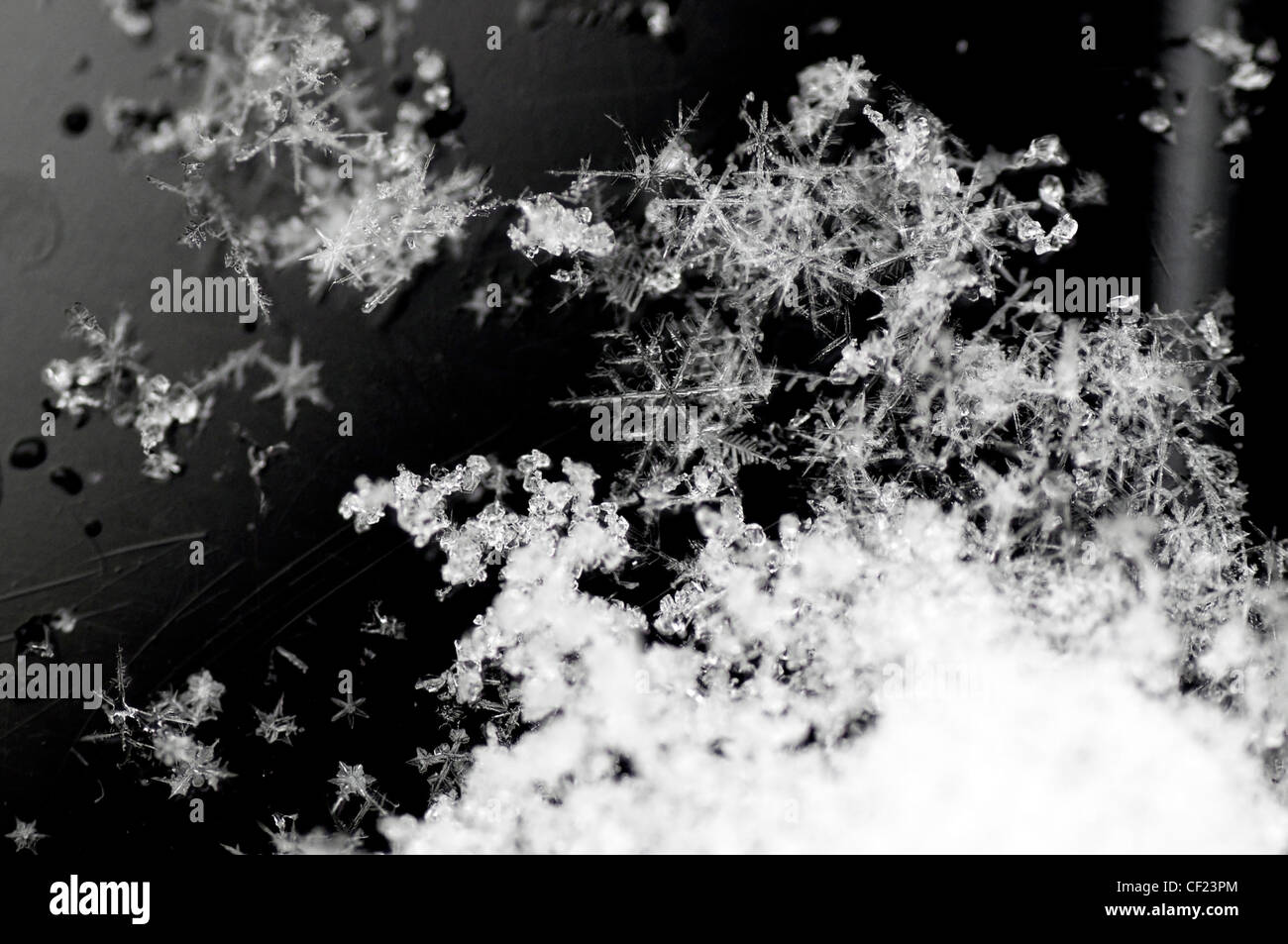 Detail shot of tiny little snow crystals Stock Photo