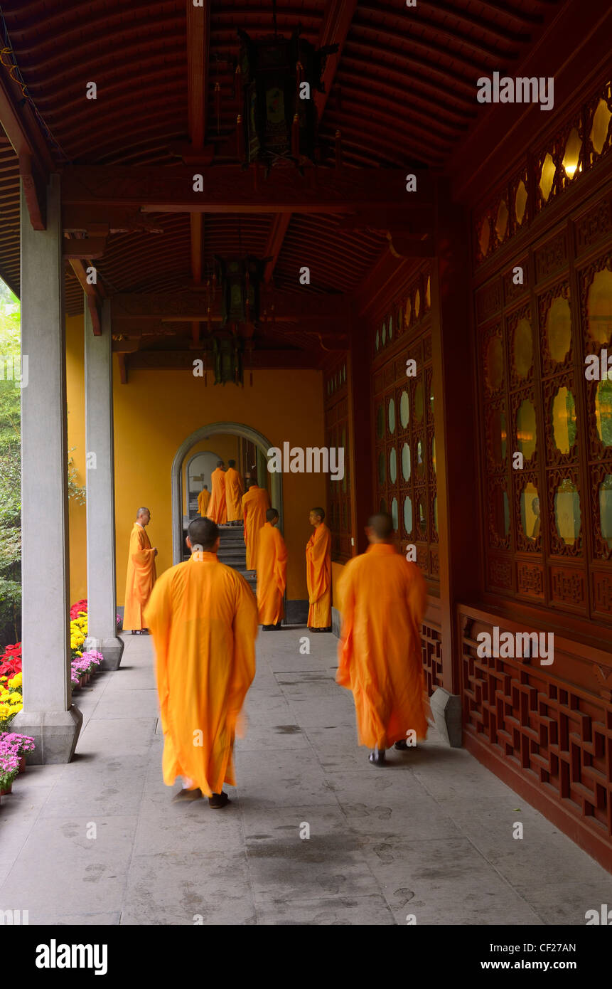Buddhist monks in orange robes called to the dining hall of the Ling