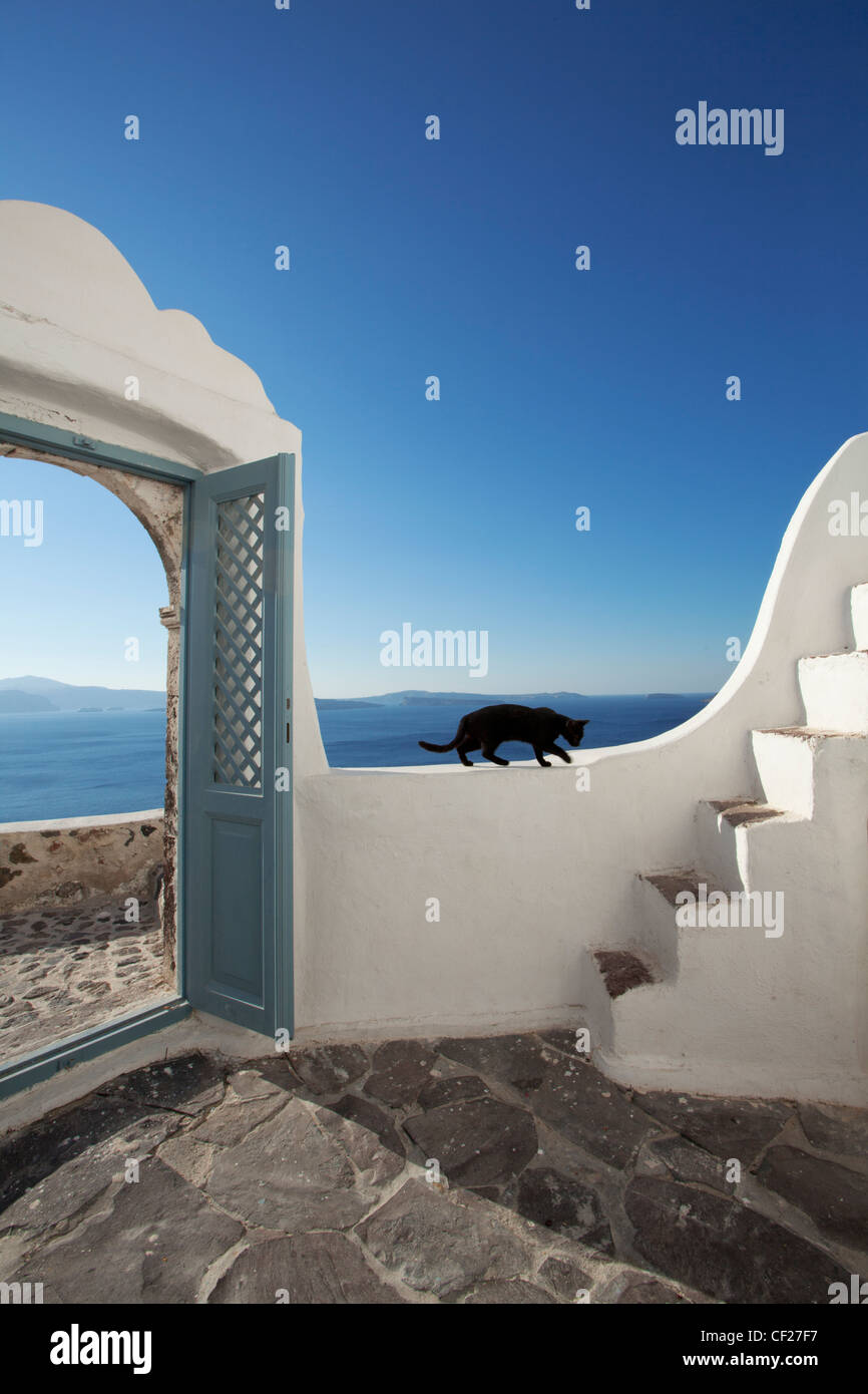 A black cat on the wall of a traditional white painted wall of a cave house in the village of Oia Stock Photo