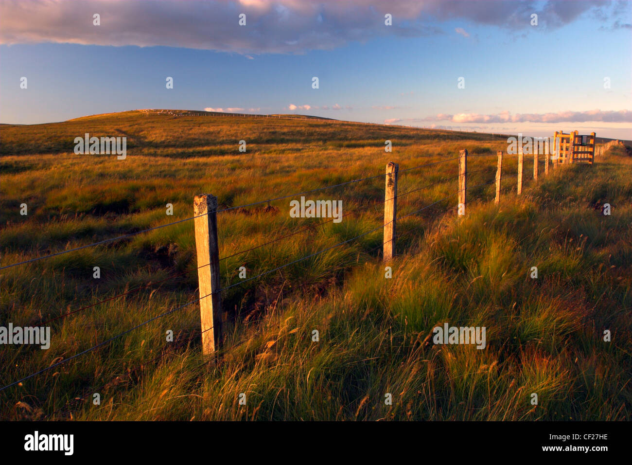 A wire fence running across moorland at the summit of Hartside Pass near Alston. Stock Photo