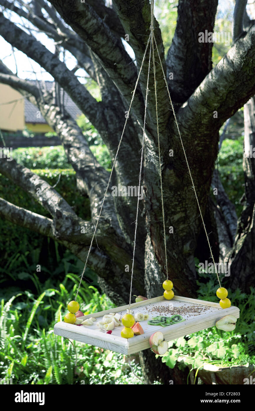 Open A Bird Restaurant A Bird Feeder Hanging On A String From A