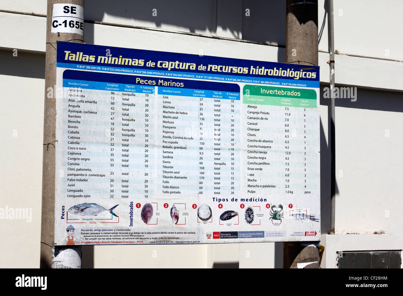 Sign in Spanish language showing minimum sizes of fish species than can be caught and sold legally, Ilo, Peru Stock Photo