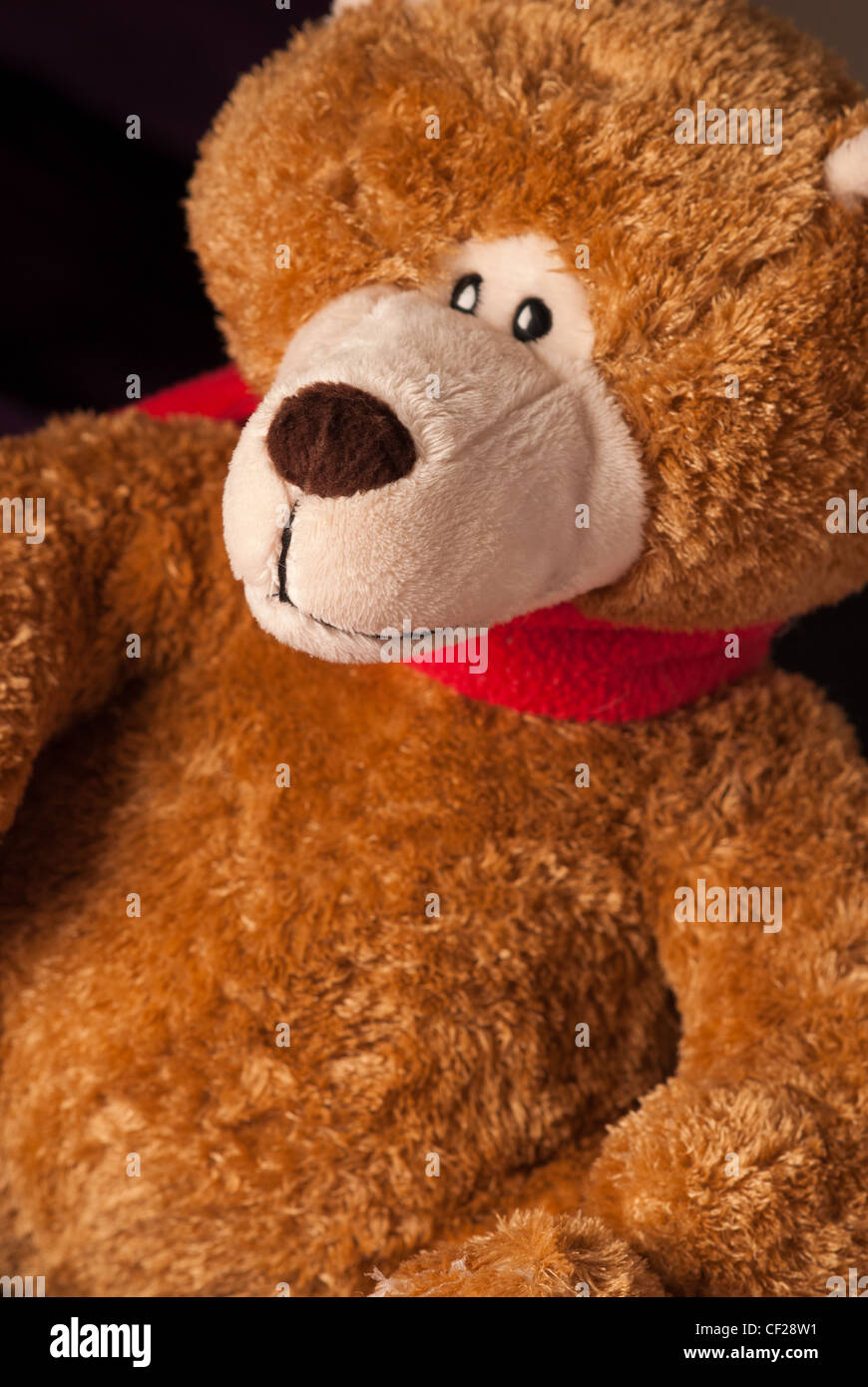 A child's teddy bear toy Stock Photo