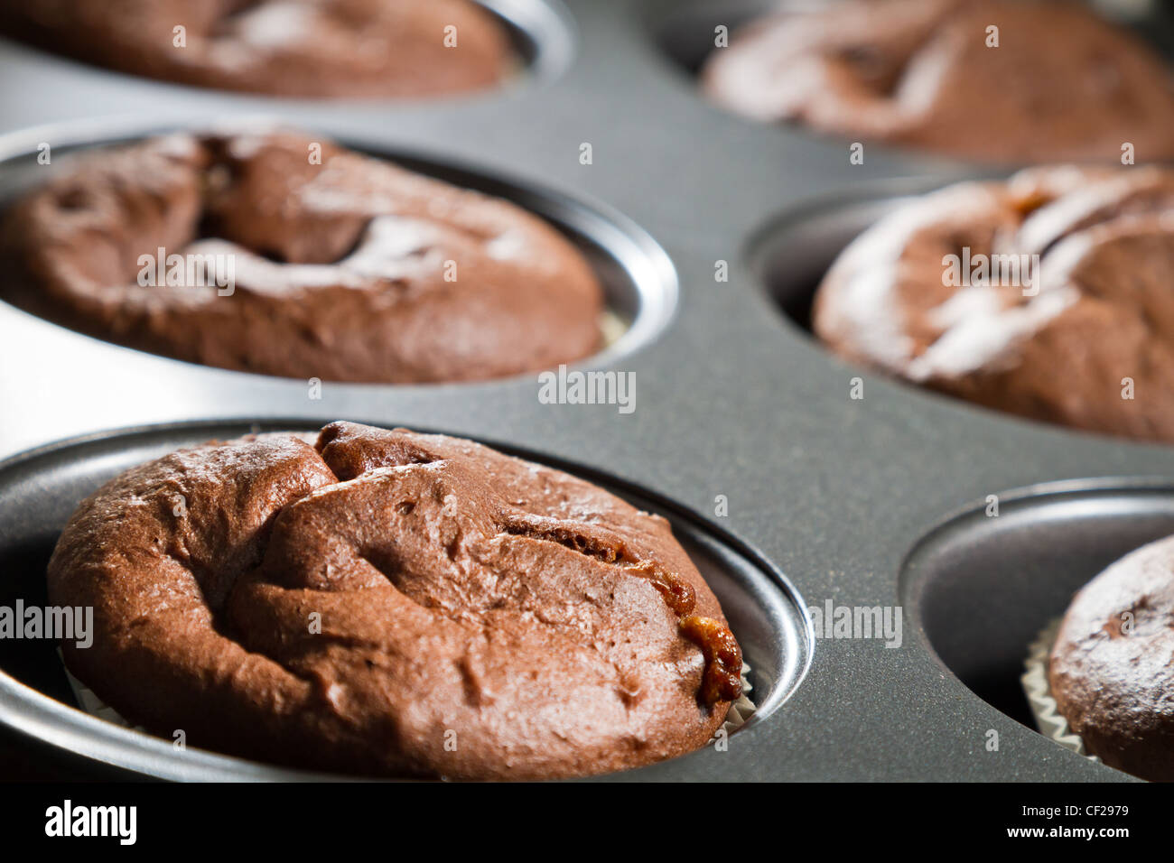 Closeup chocolate muffin in baking tray Stock Photo - Alamy
