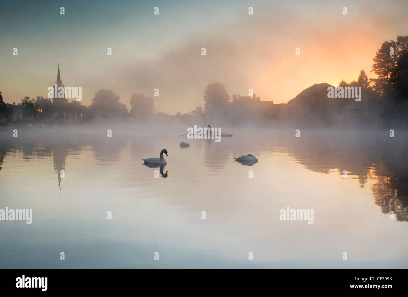 Swans at dawn in the mist with rowing boat at Marlow. Marlow is Anglo Saxon and means 'land remaining after the draining of a po Stock Photo