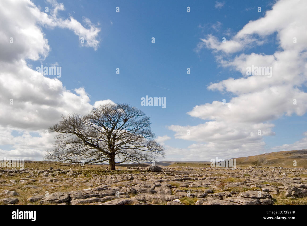 Grassington Moor. Stock Photo