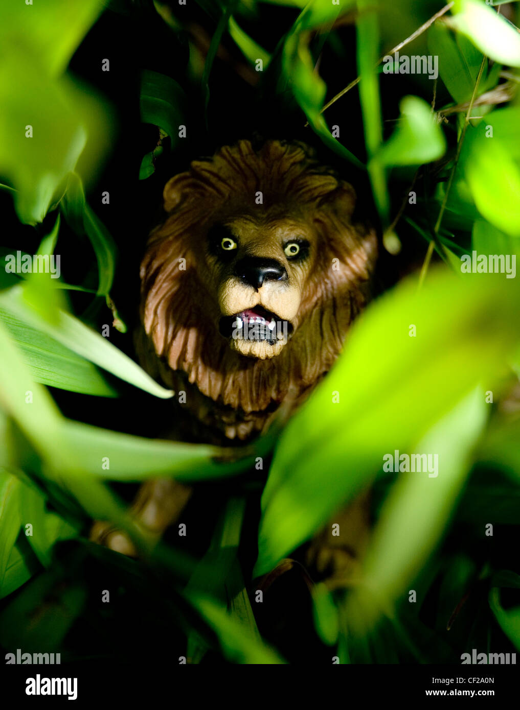 WD1490-10 HoroscopesLeoA plastic toy lion looking through leaves Stock Photo