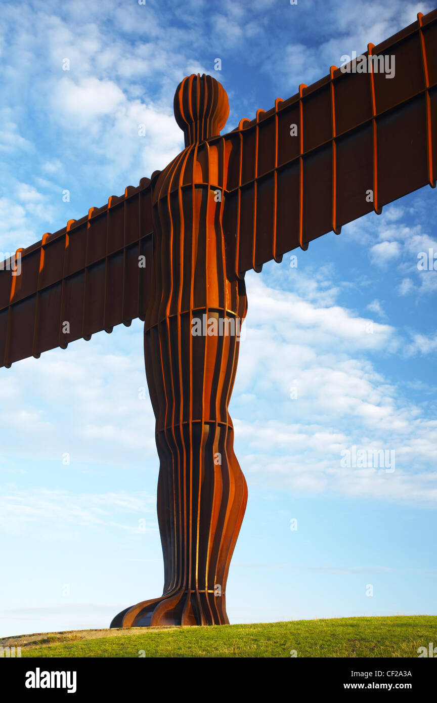 pics Newcastle Statue Angel Of The North https www alamy com stock photo the angel of the north statue near the cities of gateshead and newcastle 43692414 html