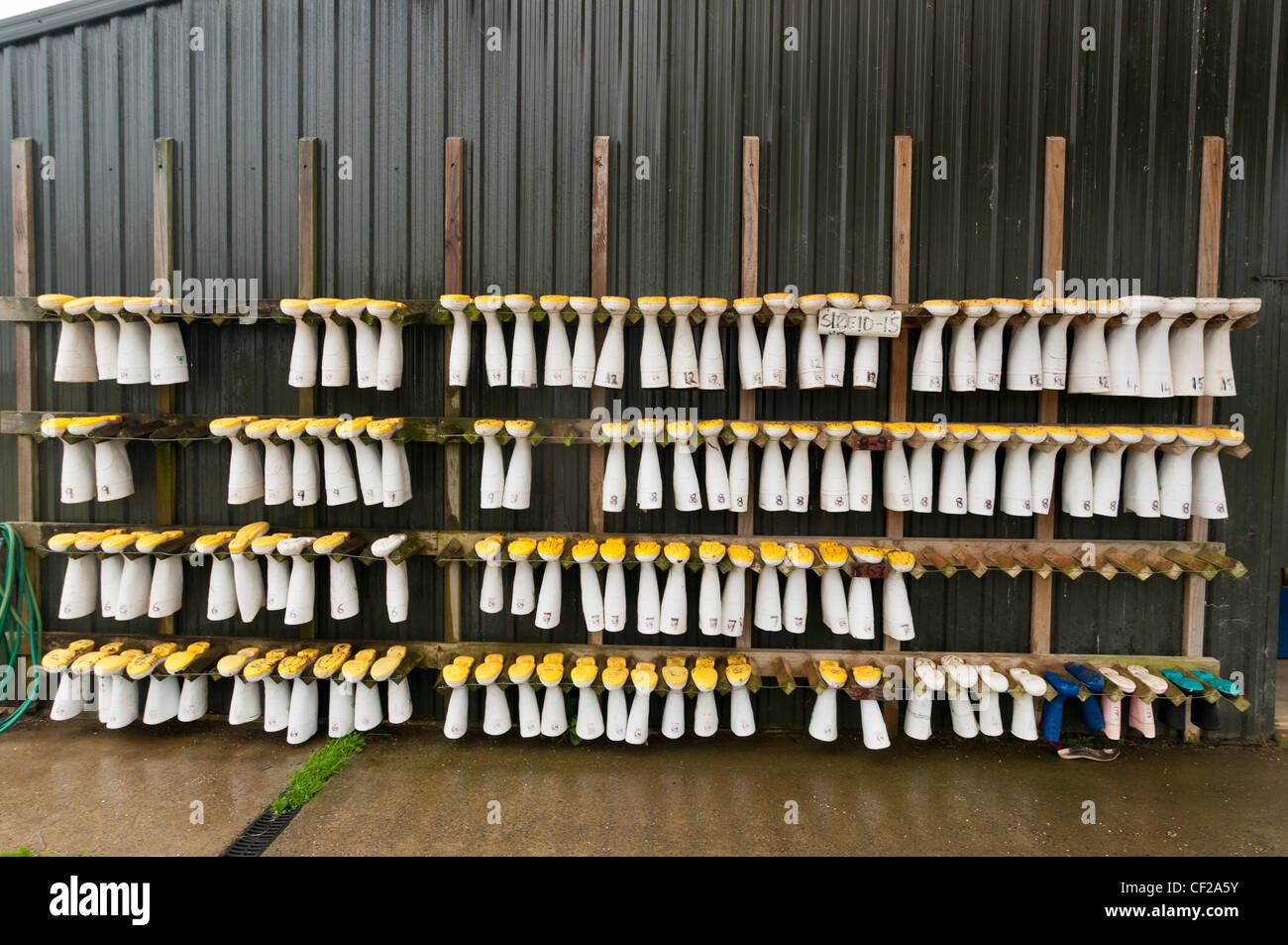 rows of wellington boots of differnt sizes Stock Photo