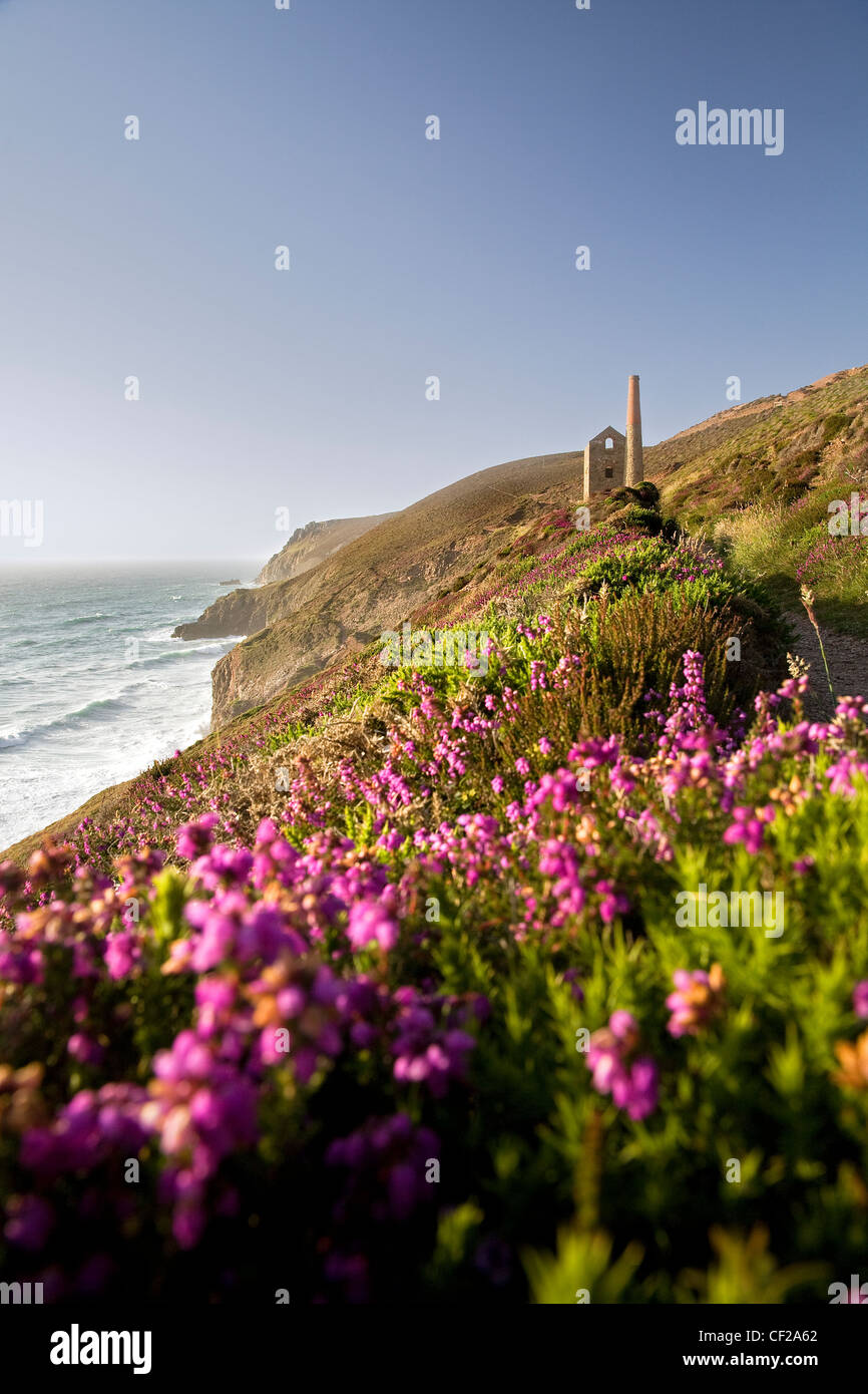 A view towards Wheal Coates tin mine on the North coast of Cornwall. Stock Photo