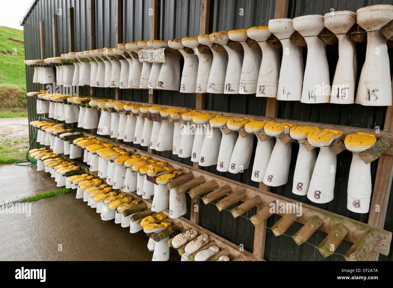 rows of wellington boots of differnt sizes Stock Photo