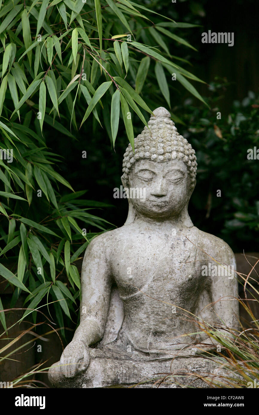 Fargesia Murieliae 'simba' Bamboo And A Buddha Statue Stock Photo - Alamy