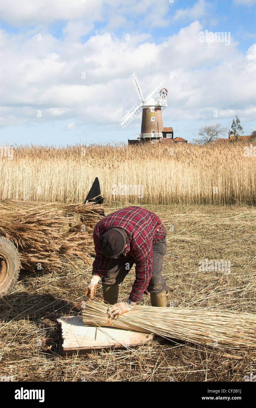 Reed jobs hires stock photography and images Alamy