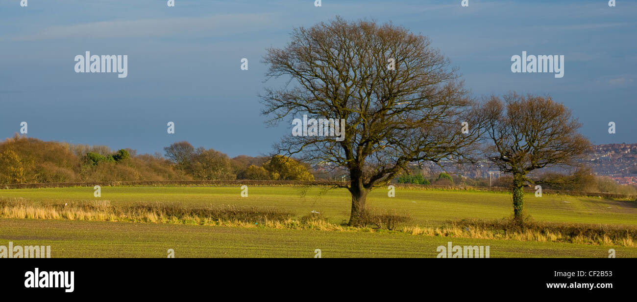 Agricultural land in South Tyneside looking towards the city of ...