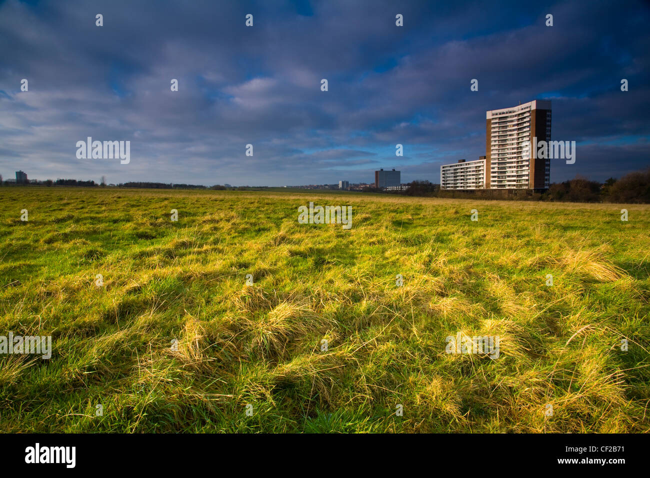 Nuns Moor with the high rise flats of Kenton in the distance. Stock Photo