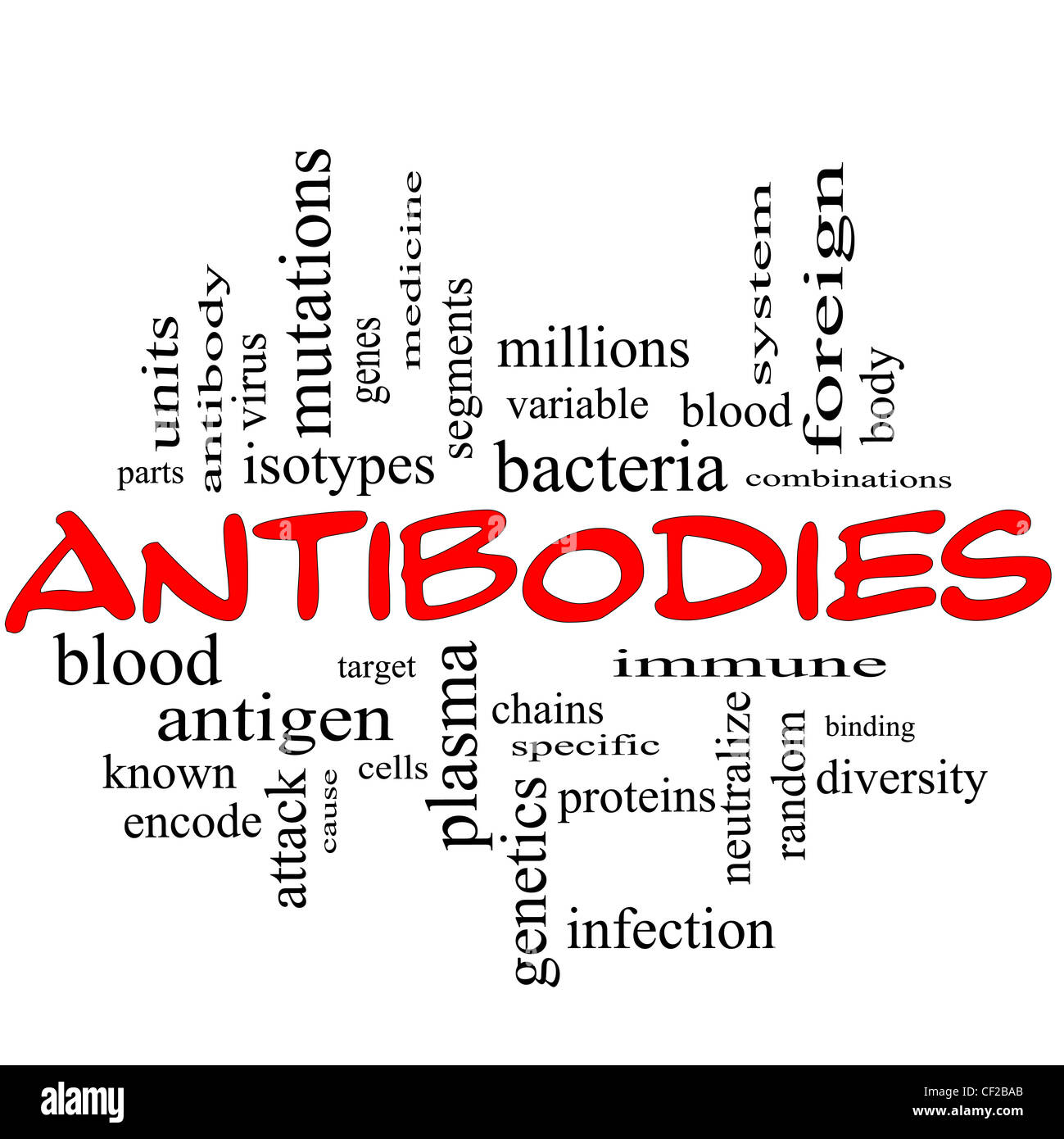Antibodies Word Cloud Concept in red caps with great terms such as bacteria, system immunie, plasma, proteins, genetics and more Stock Photo