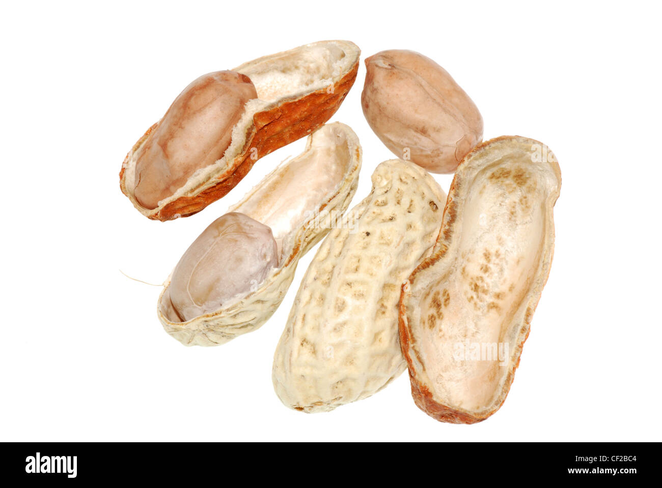 peanut isolated on white background Stock Photo