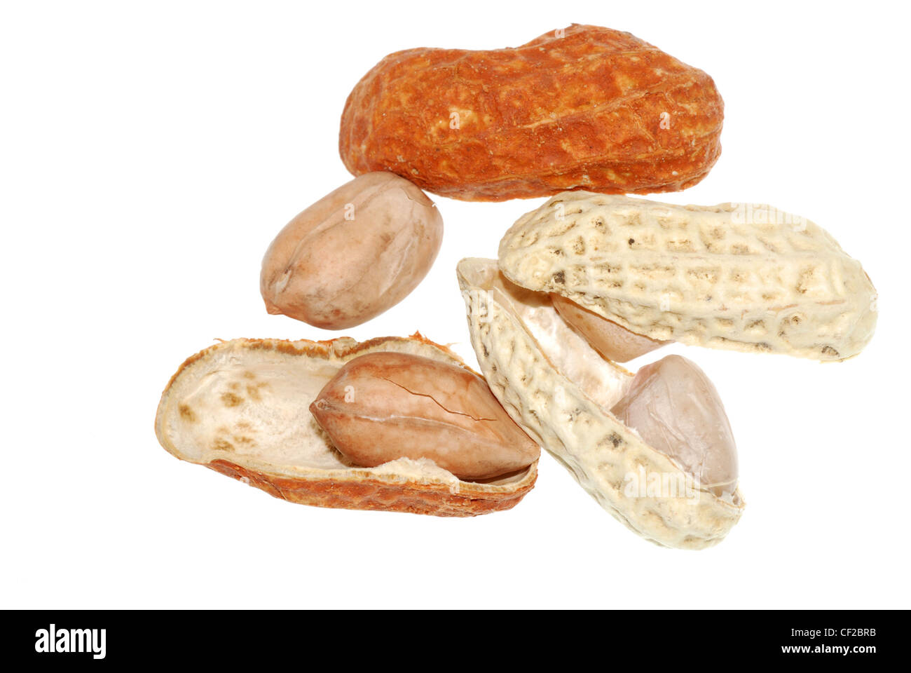 peanut isolated on white background Stock Photo