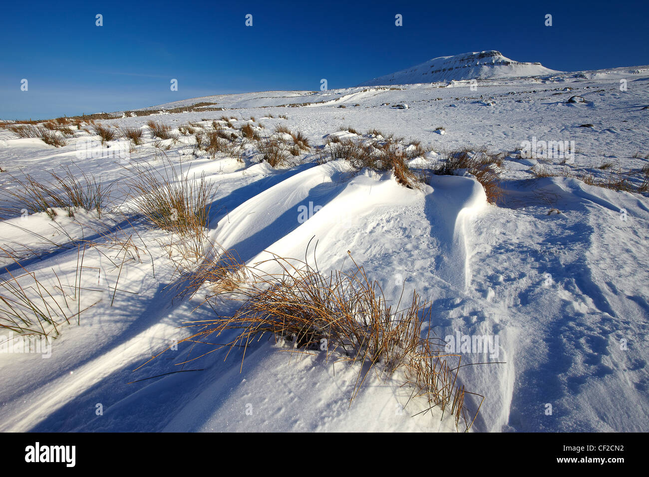 Snow covering Pen-y-ghent, a fell in the Yorkshire Dales and one of the Yorkshire Three Peaks, in winter. Stock Photo