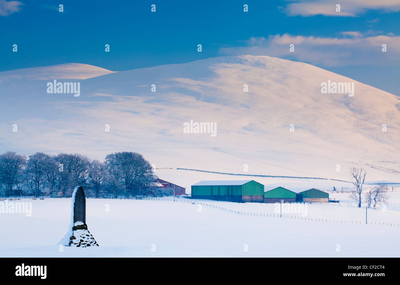Scotland, South Lanarkshire, Clyde Valley. A monument in honour of