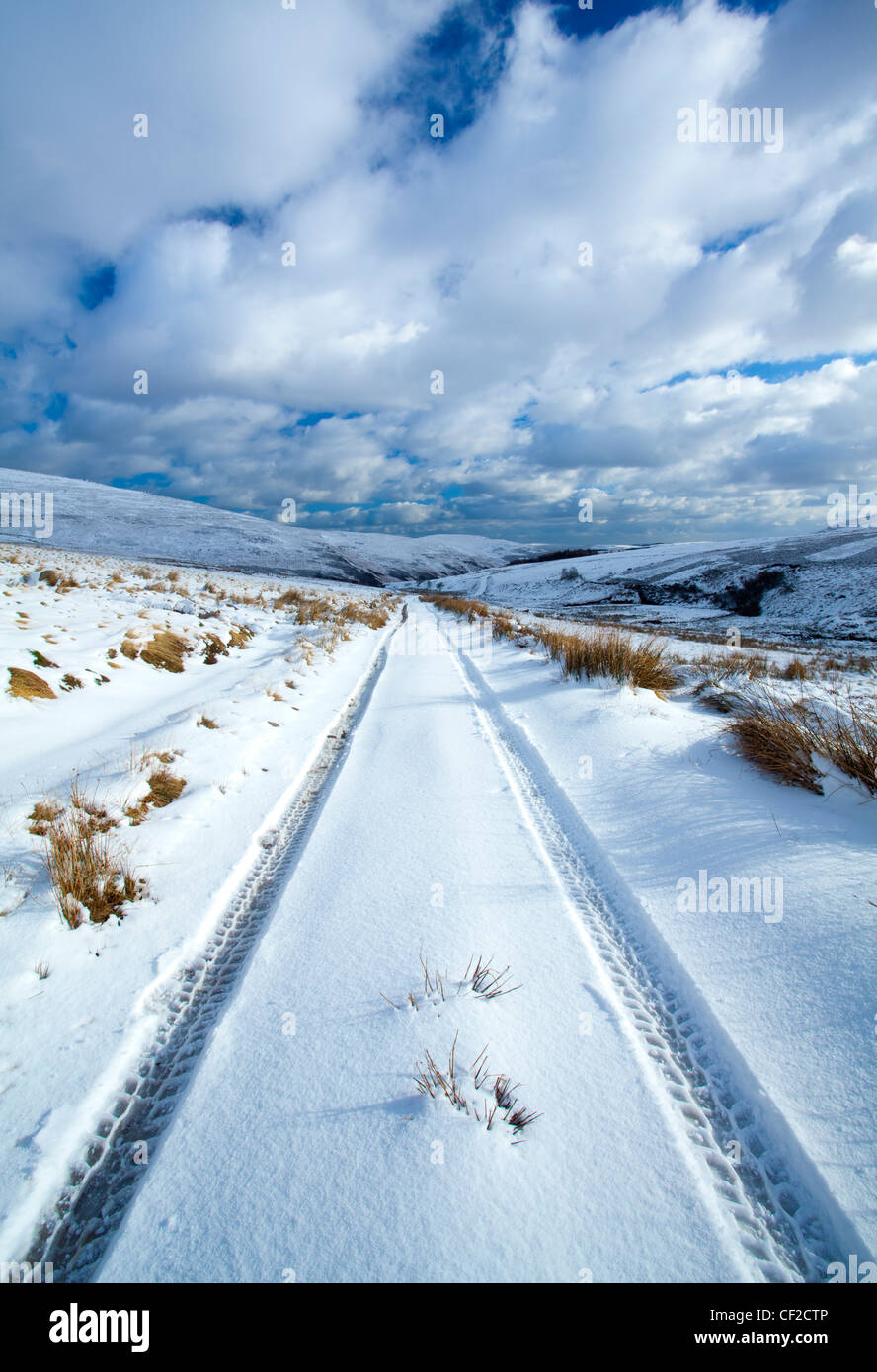 Tyre tracks from a farm vehicle running through a fresh snowfall in the Breamish Valley. Stock Photo