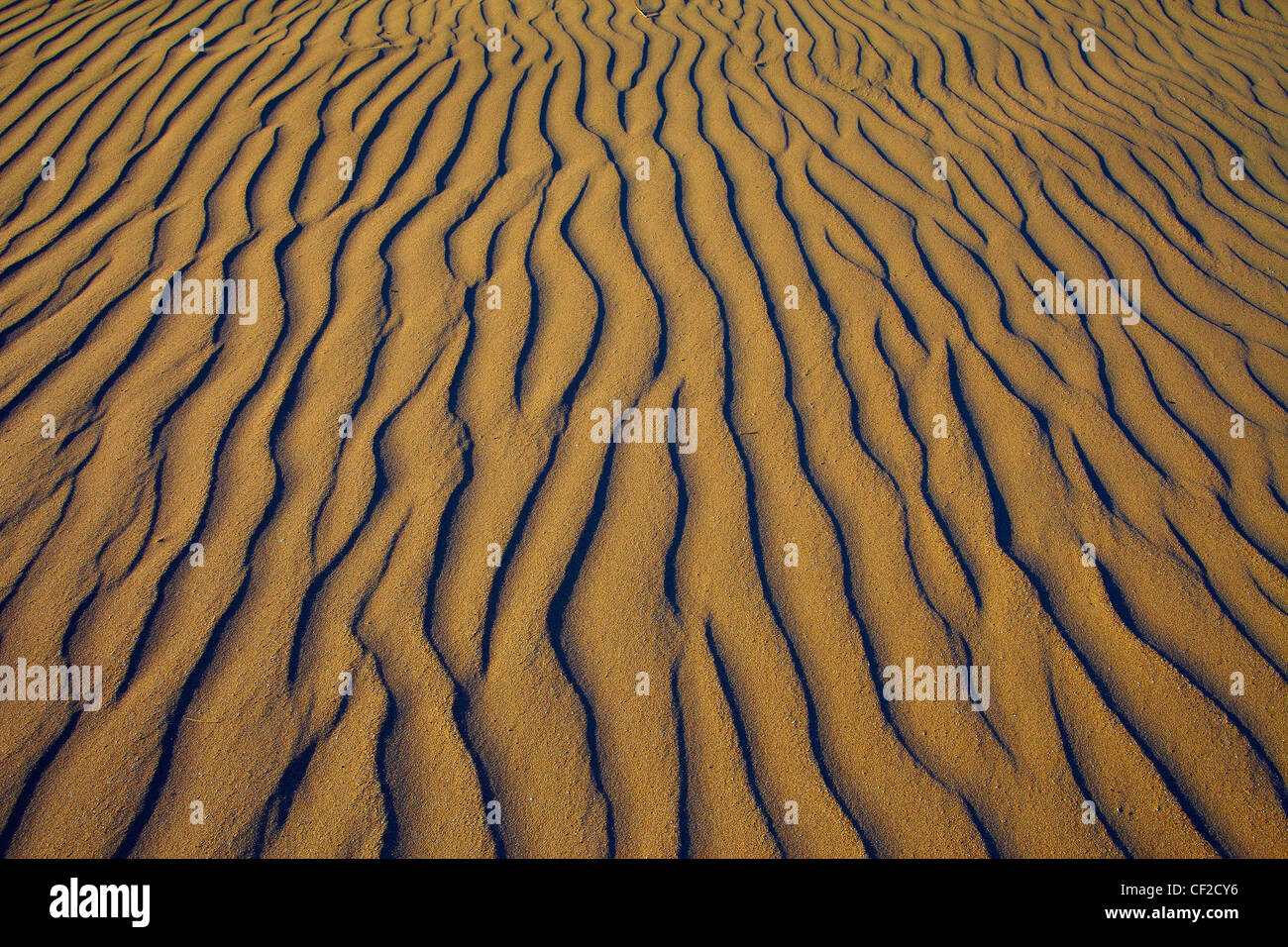 Sand ripples on beach hi-res stock photography and images - Alamy