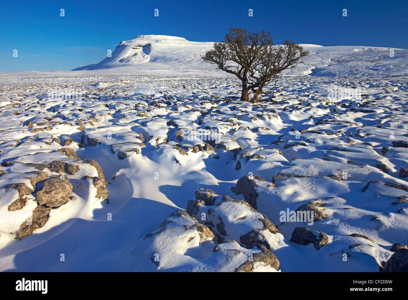 Winter view towards Ingleborough, one of the Yorkshire Three Peaks from