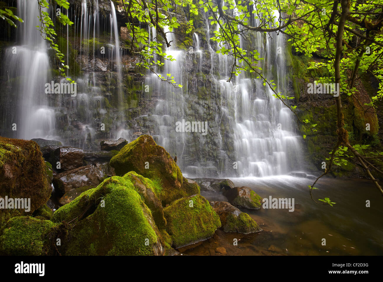 Hebden Beck cascading down over rocks at Scala Falls. Stock Photo