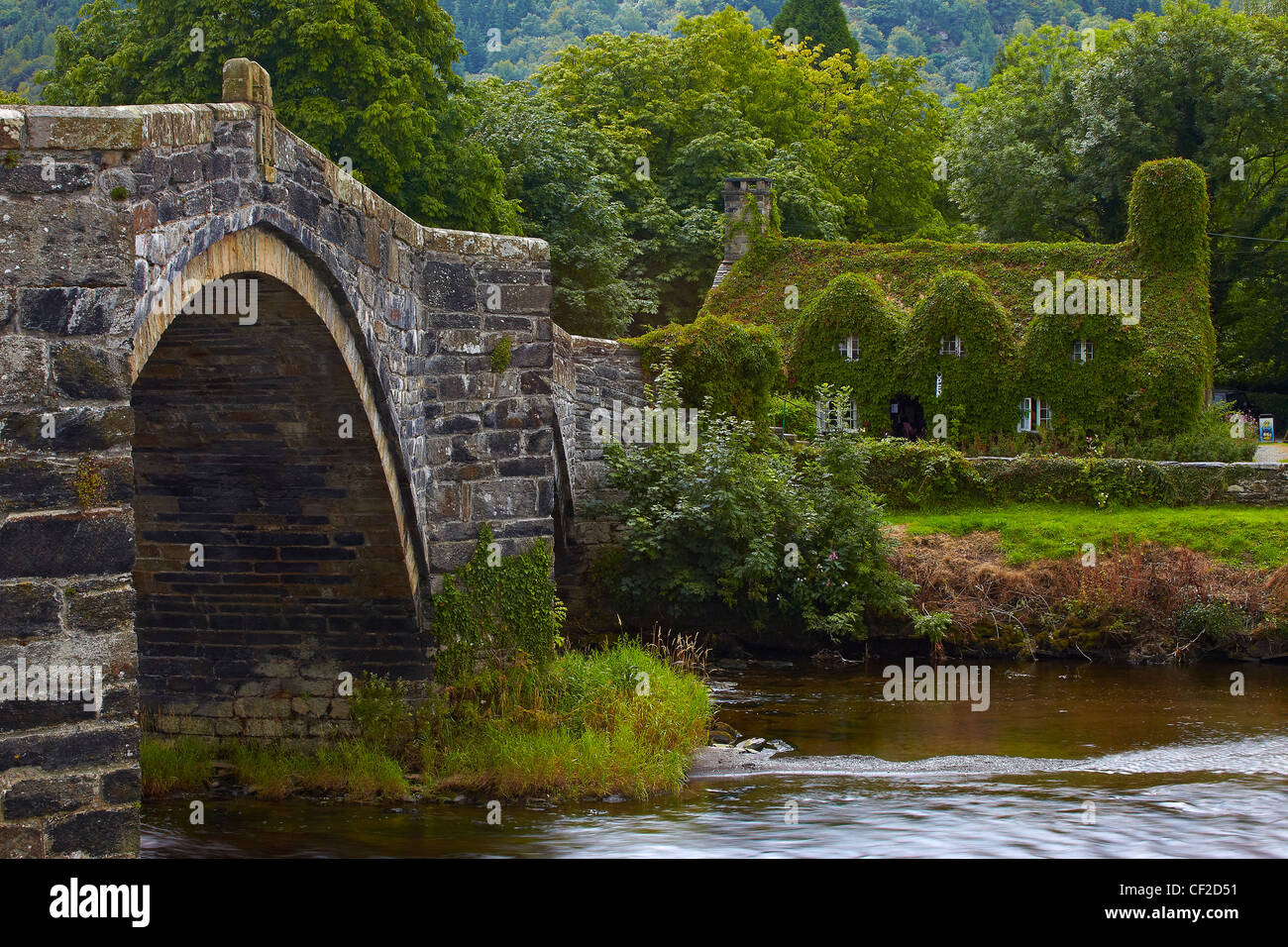 Pont Fawr, a 17th century stone bridge said to have been designed by Inigo Jones, over the River Conwy towards an ivy covered fi Stock Photo