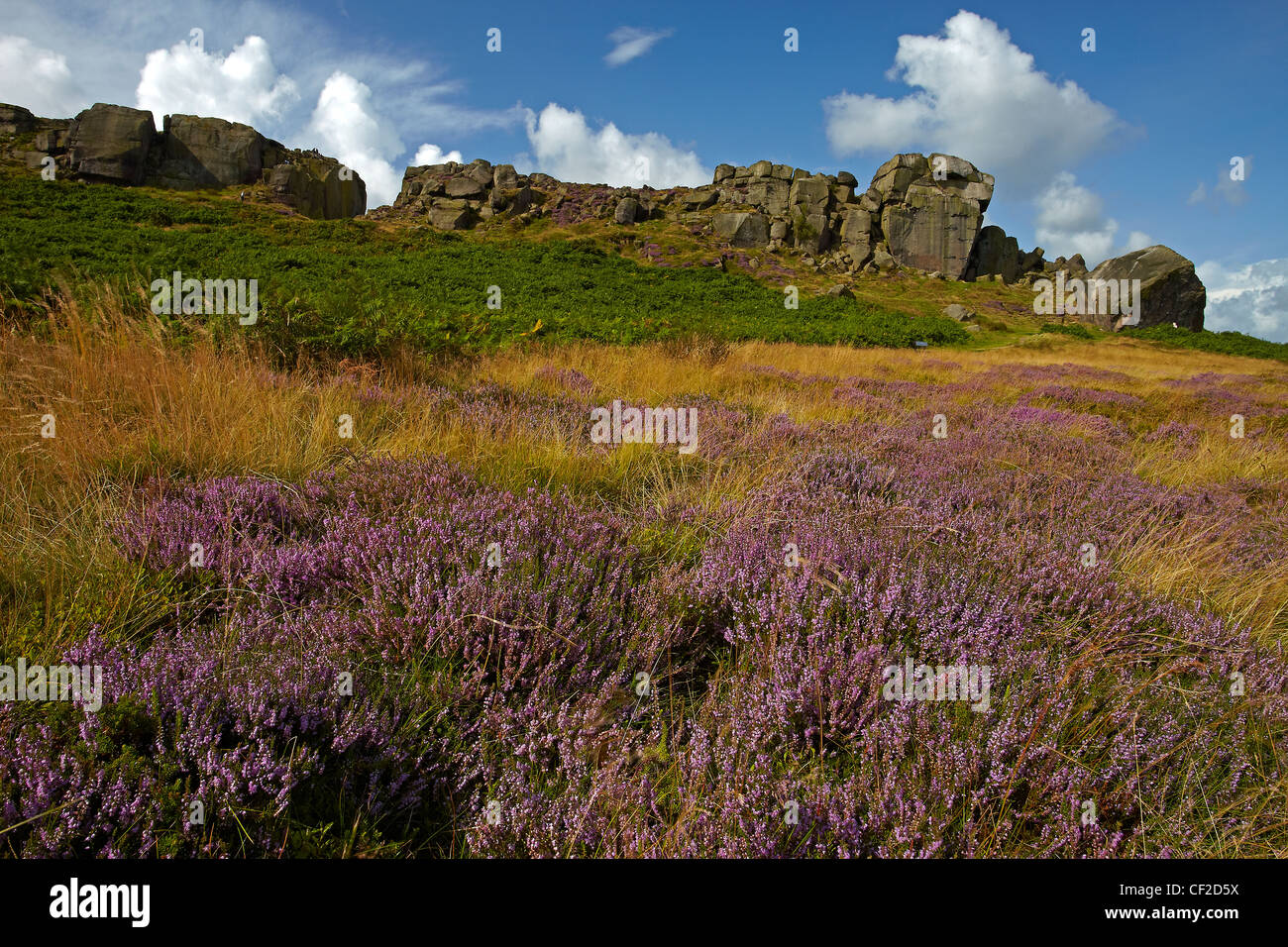 The Cow and Calf, a large rock formation consisting of an outcrop and boulder, also known as Hangingstone Rocks, at Ilkley Quarr Stock Photo