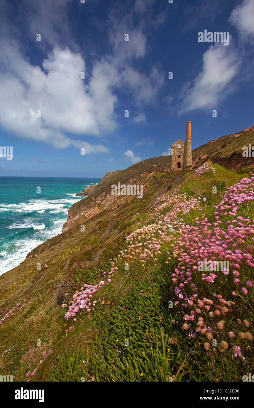 Towanroath Pumping Engine House at  Wheal Coates, a former tin mine situated on the north coast of Cornwall. Stock Photo