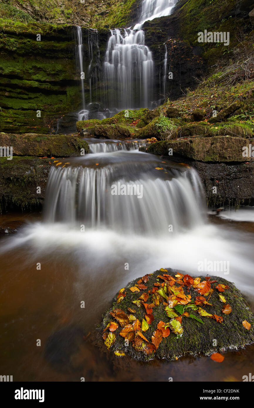 Scaleber Beck flowing over Scaleber Force, a multi-tiered waterfall in a gorge in the Yorkshire Dales. Stock Photo