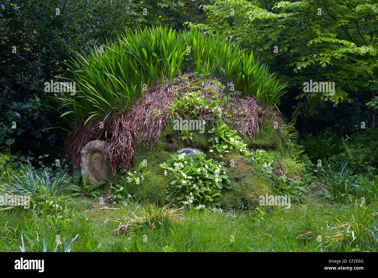 The Giant's Head along Woodland Walk at The Lost Gardens of Heligan. Stock Photo
