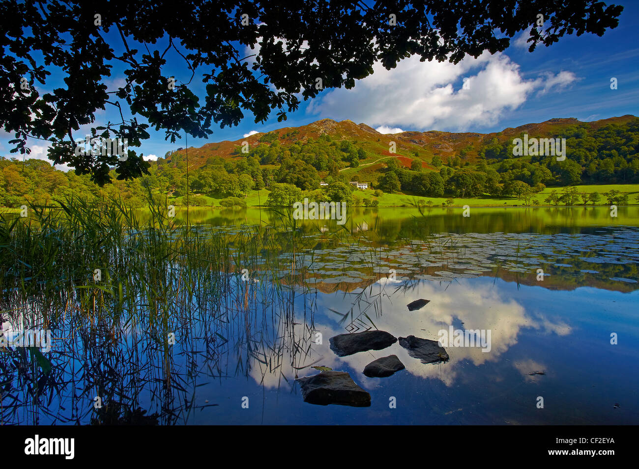 Sky and surrounding hills reflected in the still water of Loughrigg Tarn in the Lake District National Park. Stock Photo