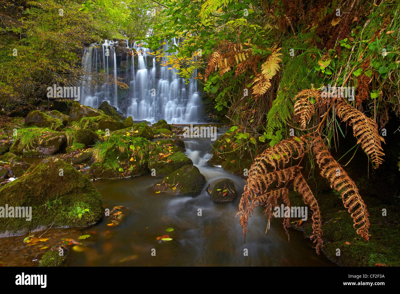 Hebden Beck flowing over Scala Force in autumn. Stock Photo