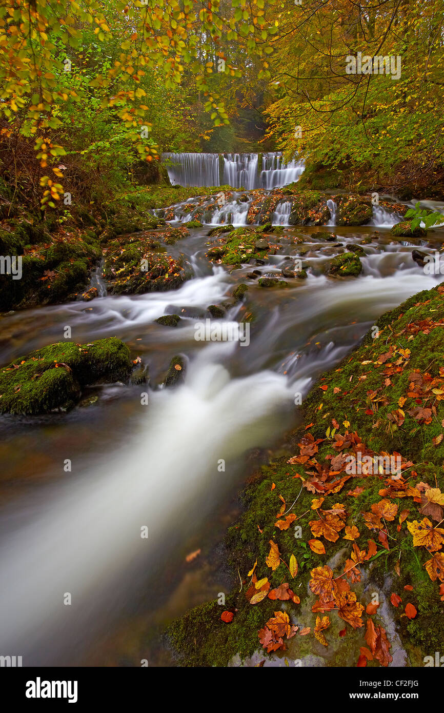 Woodland stream - Stock Image - C016/2344 - Science Photo Library