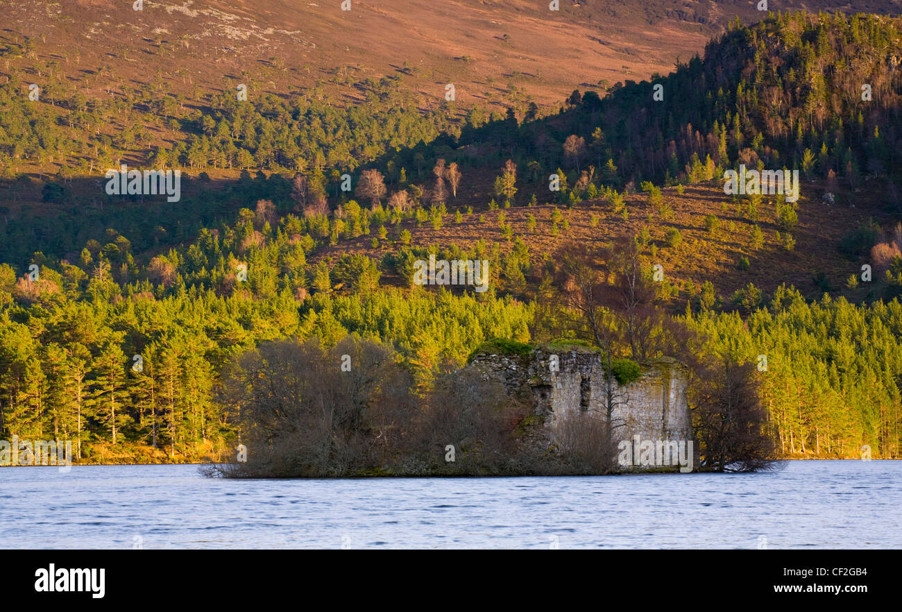 The ruins of Loch an Eilein Castle in the Cairngorms National Park, surrounded by the Caledonian Forest of the Rothiemurchus Est Stock Photo