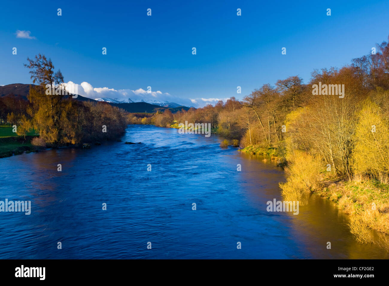 The River Spey near the village of Boat of Garten in the Cairngorms National Park. Stock Photo