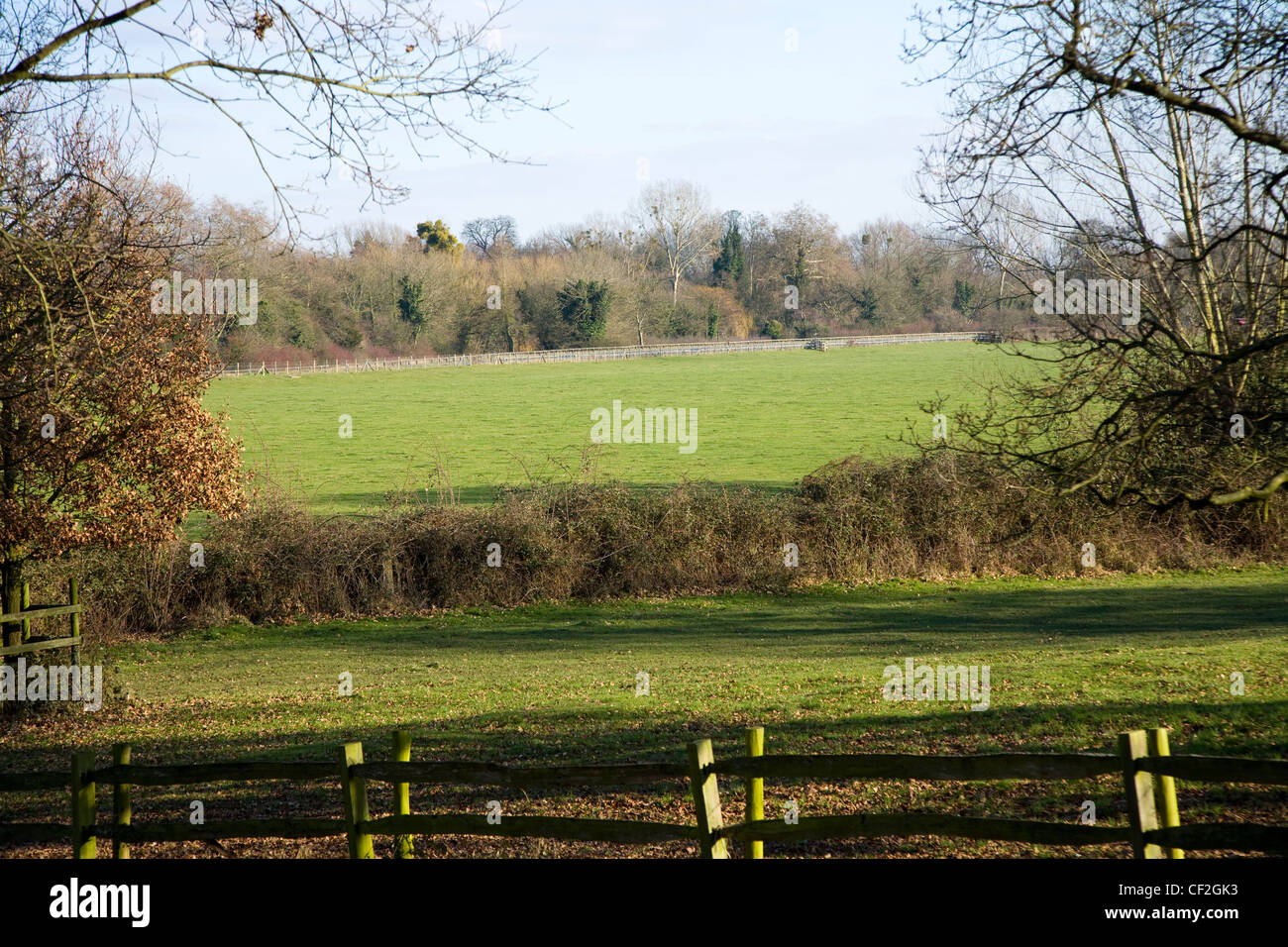 Runnymede fields / field and flood plain on a bright sunny winter