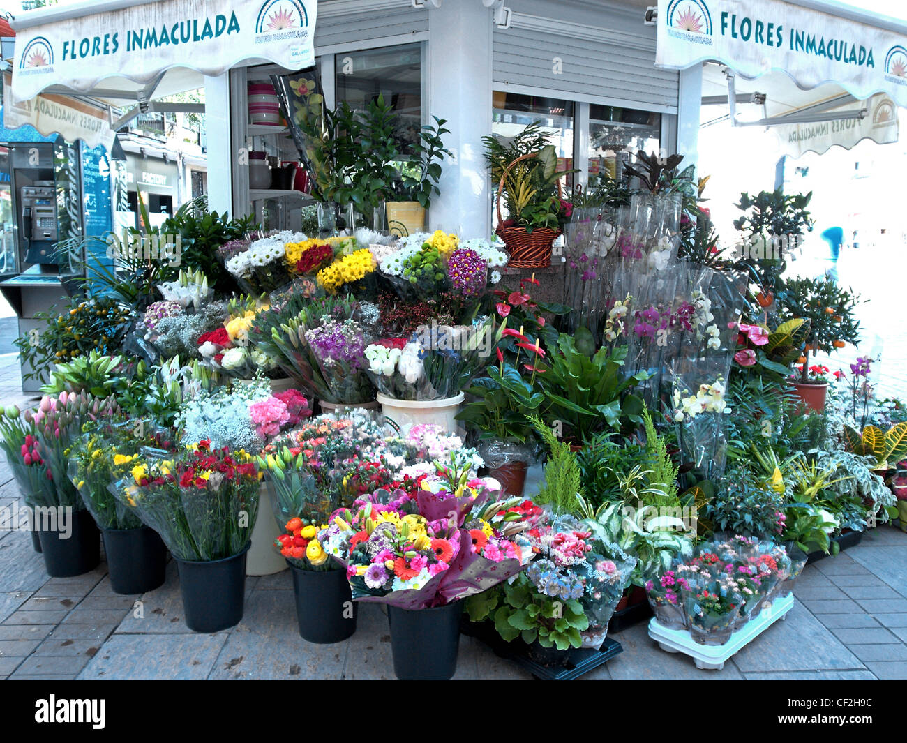 Flower stall in the Plaza de la Constitucion, Fuengirola, Costa del Sol, Andalucia, Spain, Western Europe. Stock Photo