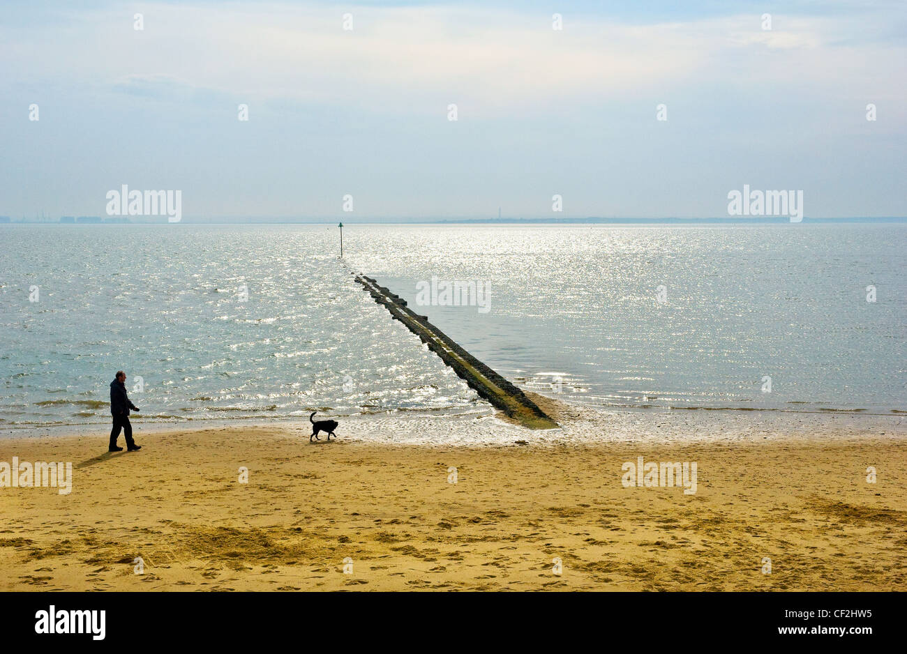 A man walking his dog along the beach at Southend-on-Sea. Stock Photo